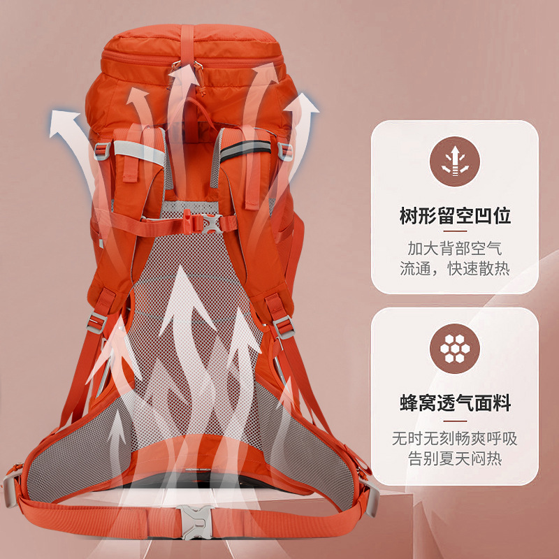 Capacious professional backpack for hiking