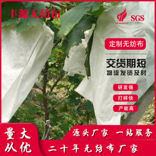 厂家批发农用防尘布 草籽草坪夏季园林护坡边坡绿化无纺布 盖土网