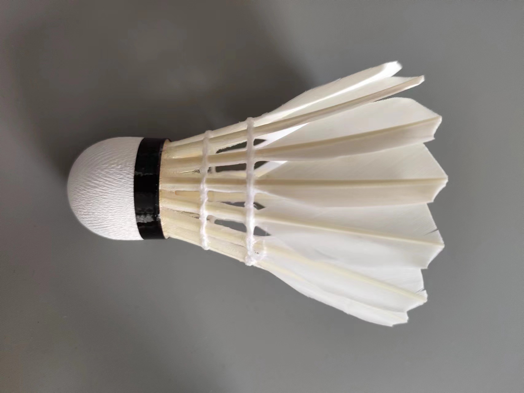 微信图片_20230706110049