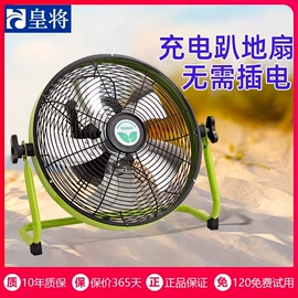 风扇灯;电风扇;吊扇