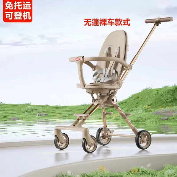 Brown color [aluminum alloy frame naked bike without shed]