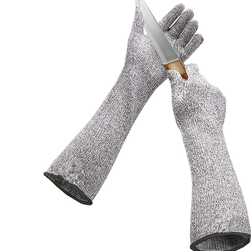 716aL0Pw7DL._AC_SL1500_