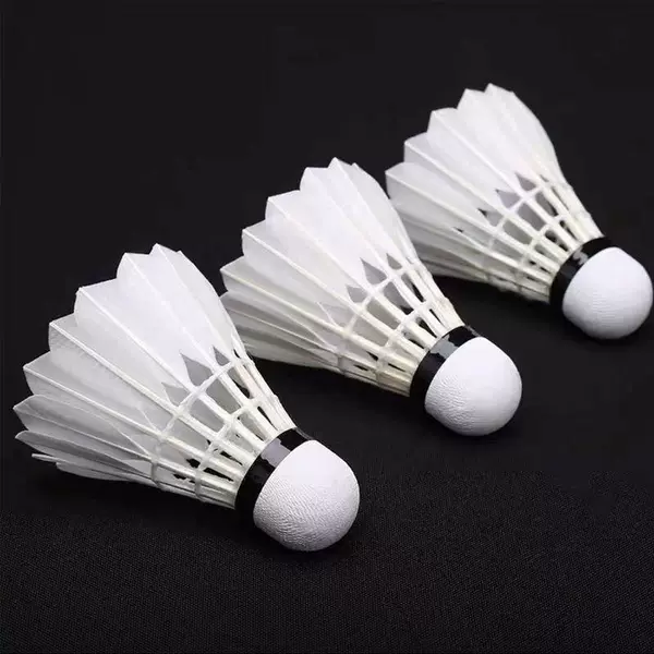 6 installation -resistant white feathers