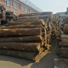 现货供应国产香樟原木 香樟板材 适用实木家具古建园林规格料雕刻