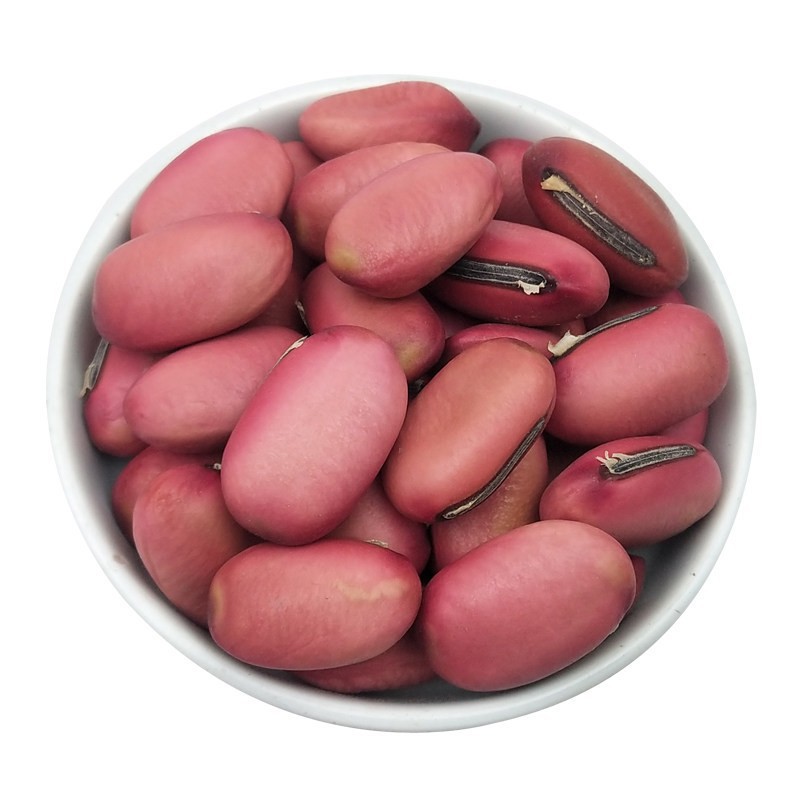 Red Sword Bean Seeds (Canavalia gladiata) — Dried Food Herb, 500g in use