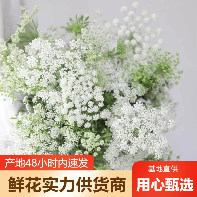 Кружевные цветы оптом Юньнань Цветочная база прямая партия свадебная композиция цветочный магазин киоск цветок общественная группа покупка поставка