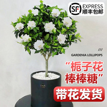 ���U�d�ӻ������������ļ��_����ֲ���҃��⎧�����Ϙ�Φ�ӻ�����