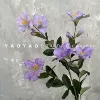 Cuckoo purple