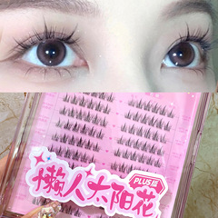 Cute Eyelashes Shangpin Lazy Sunflower Pure Desire Eyelashes Book Large Capacity Natural Photogenic Comic Eyelash Lazy Trilogy
