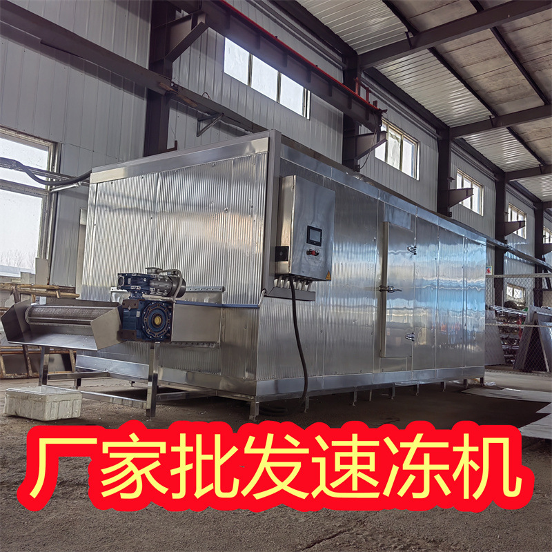 章鱼速冻机 连续式隧道速冻机优势 液氮速冻机厂家