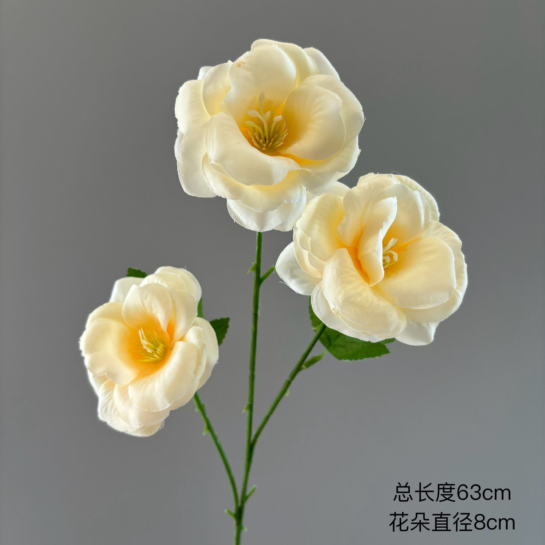 신선한 장미