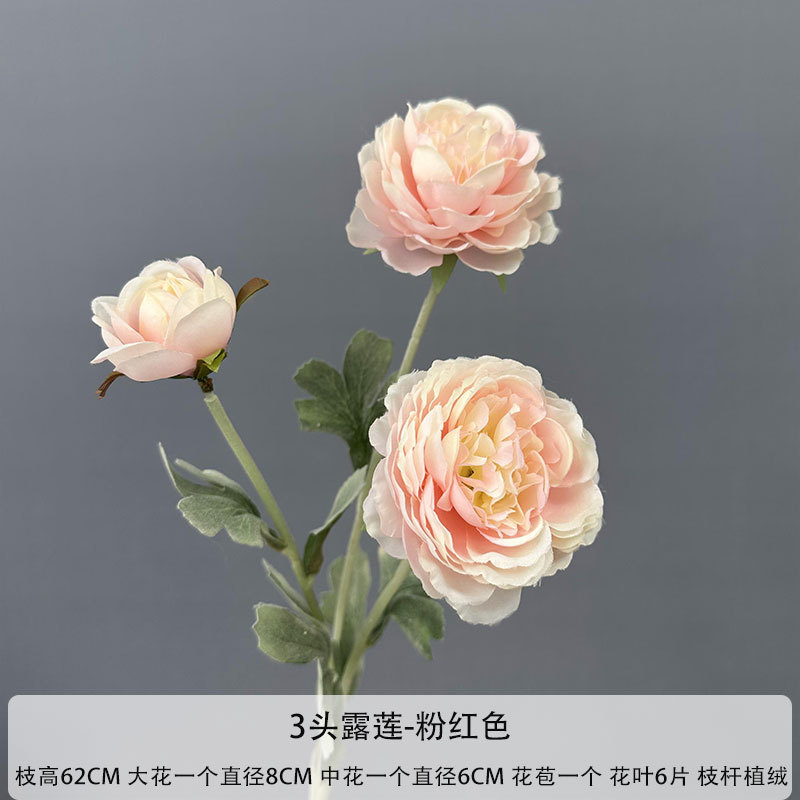 3 헤드 루 리안-핑크