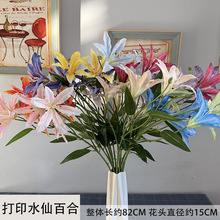 ��ӡˮ�ɰٺϷ��滨��Y������d�쾰���ðٺϷ��滨�����bٻ�