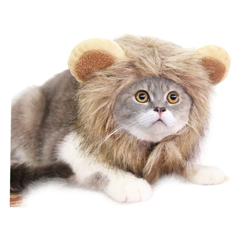 Halloween León transformación fantasma Festival mascota perro gato sombrero ajustable suministros para perros ropa para gatos disfraces otoño e invierno