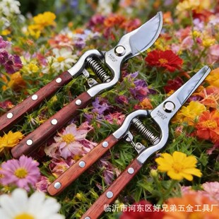 ˮ����ľ����֦����ˇ�@�ֹ����޼���֦�޻�����ʡ�����È@ˇ����