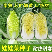 ��ó�������������������ʪ�����ﲥ���İײ˿�����޲�������