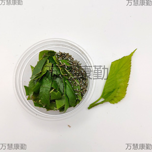 �Q������z��ɫ�����Q�W���B�Q���b�s���Q���g3�g�Q����ɣ�~