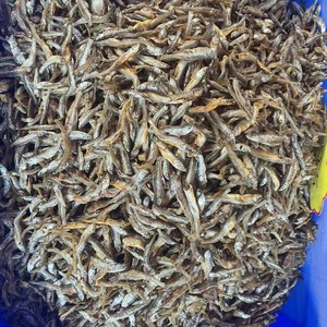 炸鱼炸虾小鱼小虾 公鱼仔