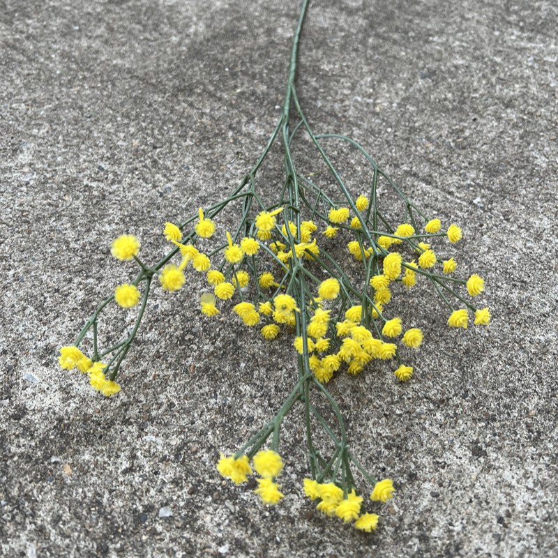 Nueva fábrica de flores artificiales de la boda amarillo leche amarillo limón amarillo fresco al aire libre Salón de la boda decoración flor falsa al por mayor