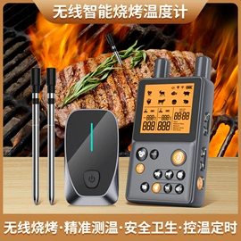 其他烧烤用具;温度计水温计;射线检测仪器