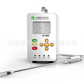供应 GT-2000-CO 一氧化碳分析仪（在线、便携双用）