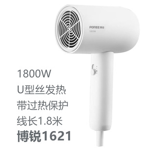 Borui Hair Dryer Ph1621 Small Household High-Power Quick-Drying Hair Care Dormitory Student Hair Dryer