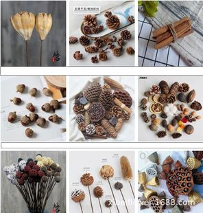 �ɻ����Ϙ�֦����ɹ��޻�ɏ���׃��@�ֹ���޹Ϟ�TƬ�b��Ĕz����