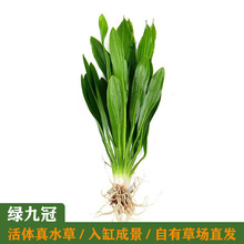 �G�Ź���ˮ�����l�^�pˮ�ݻ��w���~������Żʹ��~���쾰ɢ�b���B