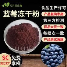 免费拿样蓝莓粉食品级蓝莓提取物现货压片糖果原料蓝莓冻干粉批发