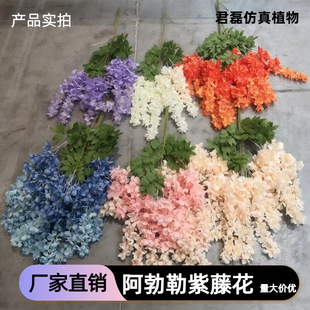 �羳���氢�������ٻ��L֦���ϼٻ������҃ȿ͏d�������������b�