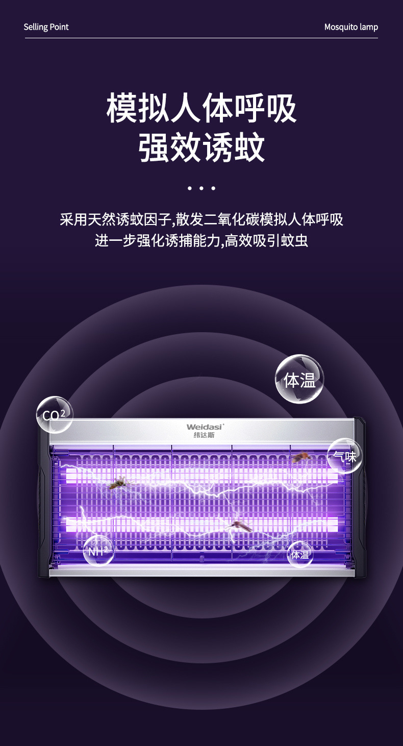 f12d6eb5-472b-4757-9120-f6465557998f.jpe
