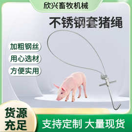 不锈钢长杆套猪绳批发抓猪工具养殖猪用不锈钢绳式套猪保定器