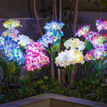 ��������̫����p�^�������@�bՇ���ͥԺ��ˮ���^����ƺ�ز��