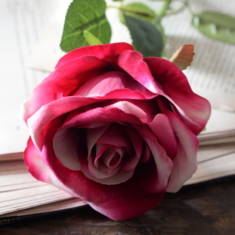 Large velvet rose red