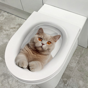 ؈���RͰ�N���l�羳��ͨ3D���w�l���g��ˮ�b��RͰ�w������ճ�N��