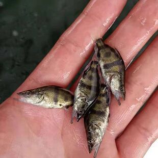 ���Z���~������N������·����ʳ��ˮ�Bֳ�r��|�����a�~���]