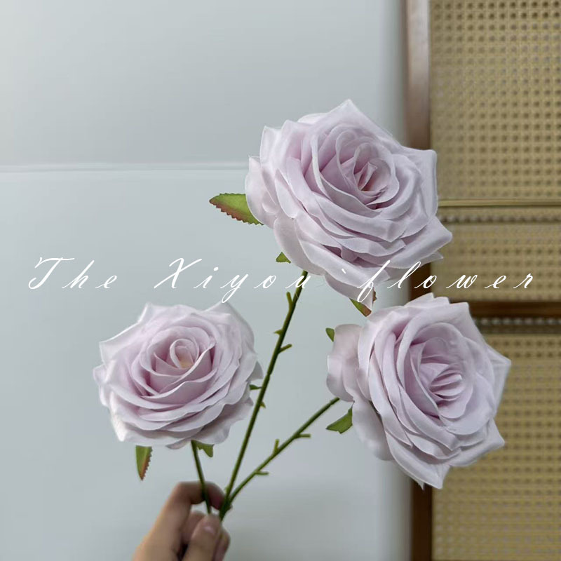 라운드 로즈 라이트 퍼플