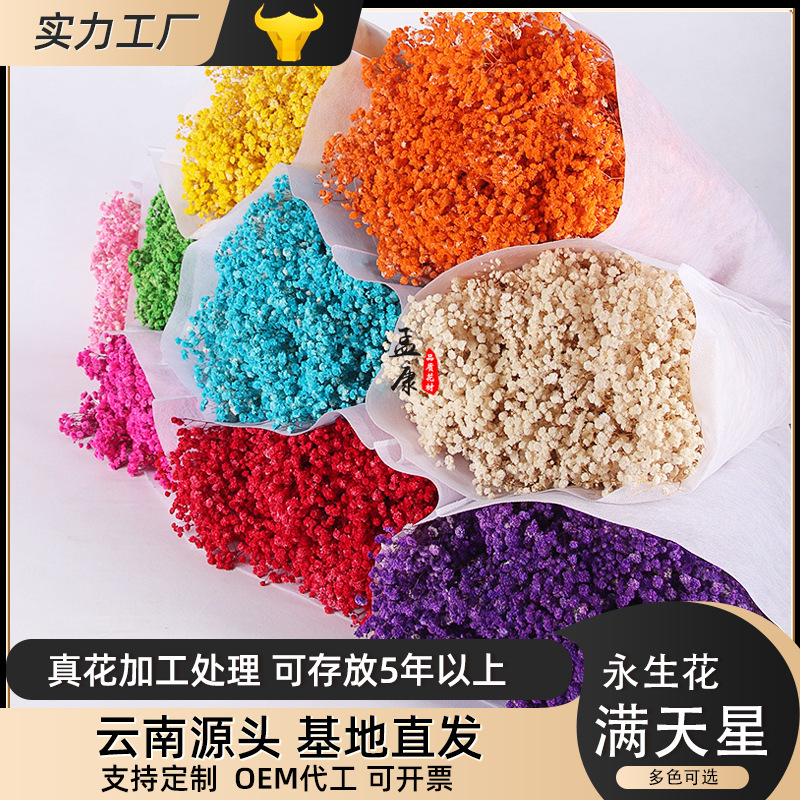 Gypsophila Dried Flower Bouquet Eternal Flower Valentine's Day Mother's Day 520 Gift Bouquet Flower Material Wholesale Real Flower