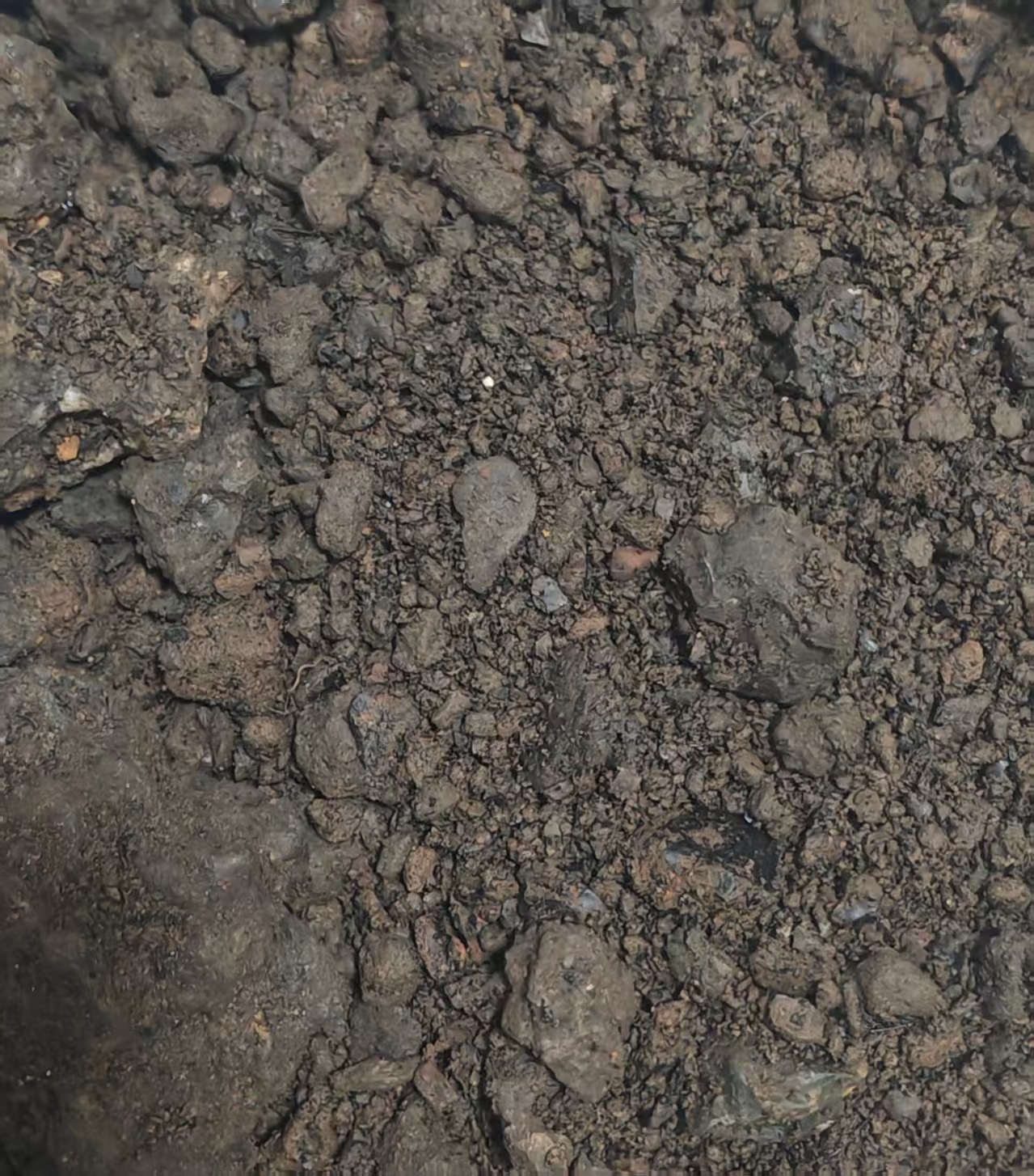 微信图片_20250924161612_34_448