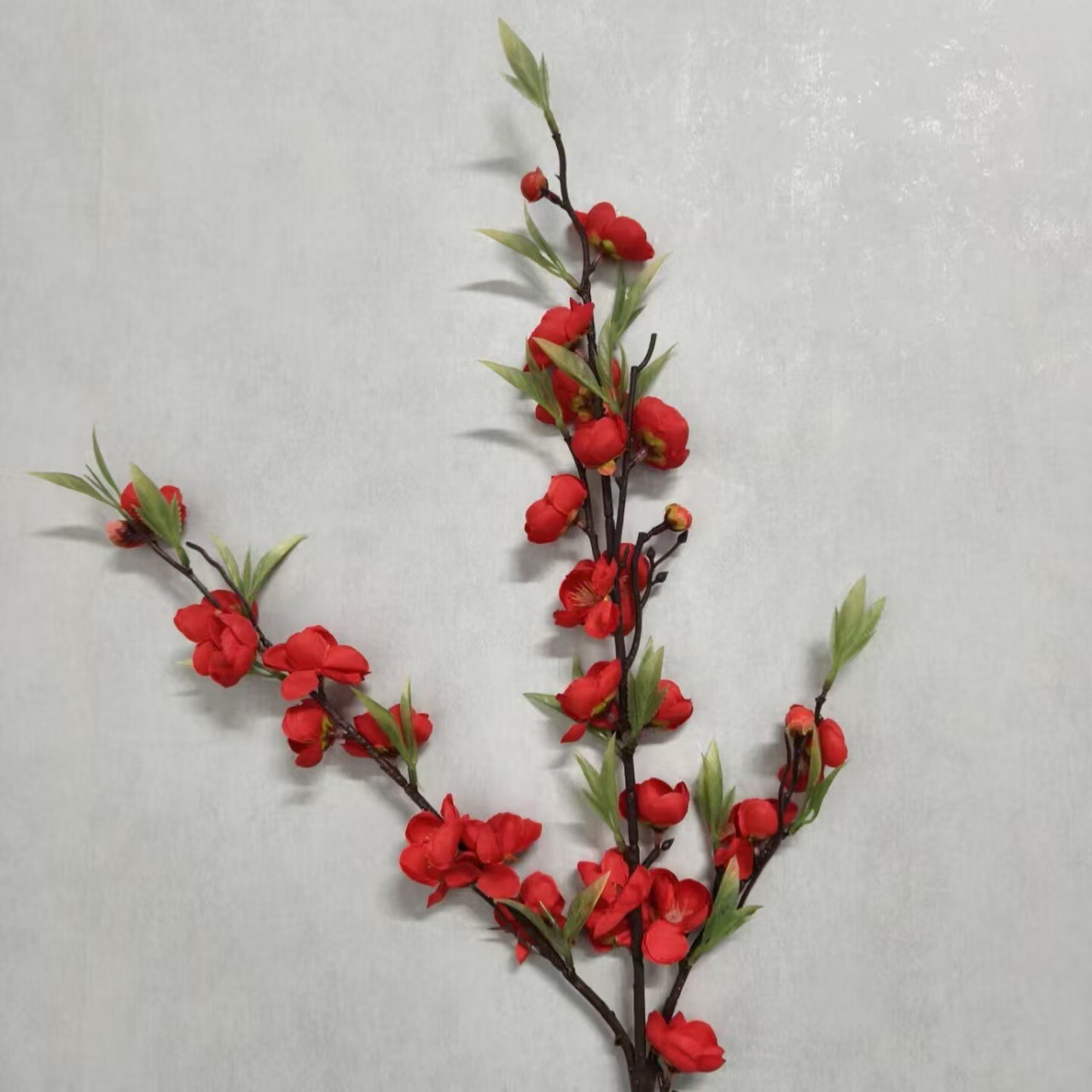 세 갈래의 녹색 잎 매화 빨간색