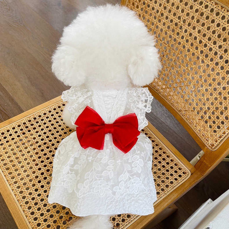 狗狗裙子寵物衣服春夏新款婚紗裙蝴蝶結蕾絲禮服泰迪比熊貓咪衣服
