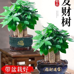 �lؔ�����Կ͏d�k���҃�����Gֲ���������UС���_�I�ͶY�辰