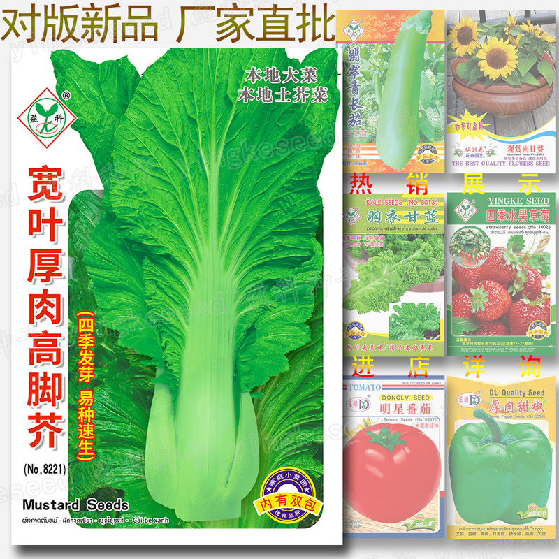 Broad-Leafed, Thick-Fleshed, Tall-Footed Mustard Seeds, about 3,200 Local Mustard Seeds, Local Large Vegetable Seeds Wholesale Broad-Leafed, Thick-Fleshed, Tall-Footed Mustard Seeds, about 3,200 Local Mustard Seeds, Local Large Vegetable Seeds Wholesale