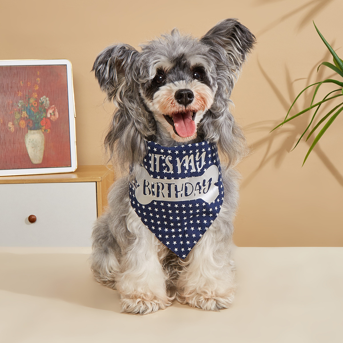 Toalla triangular de cumpleaños para mascotas de venta caliente de nuevo estilo transfronterizo, estrella de cinco puntas, toalla de saliva para mascotas, bufanda de cumpleaños para mascotas