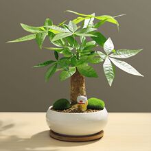 lؔԄ؈[k҃滨ܾGֲ^辰ؔF