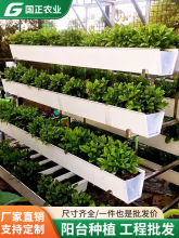 ��ɽȫ����PVC��ݮ���w�Nֲ�ۜ��Ҵ����̨СԺ�B���N�˟o������