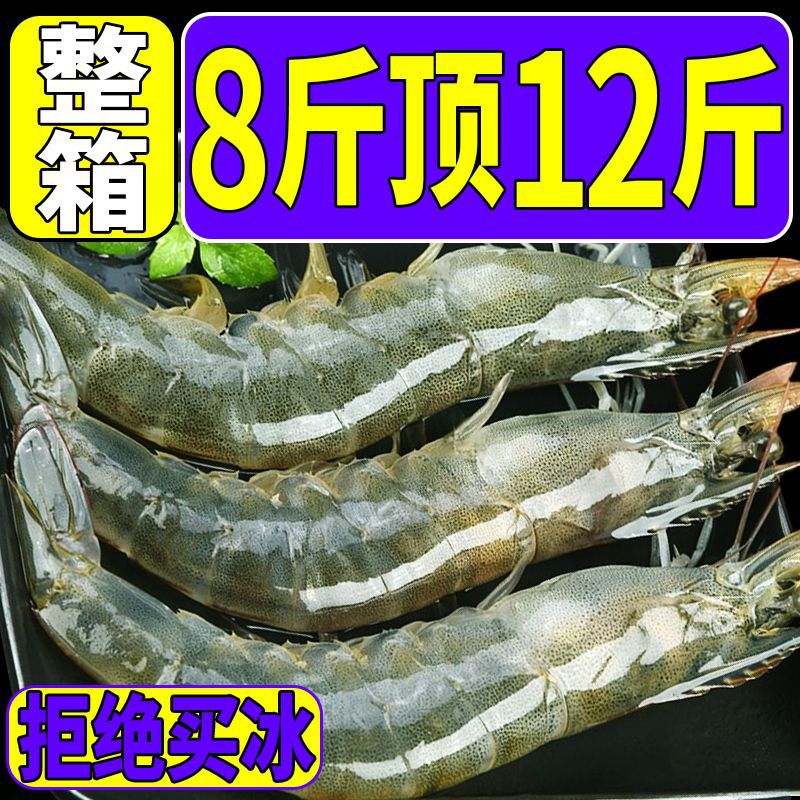 整箱青岛大虾新鲜海虾冷冻鲜活水产对虾大白虾批发商用包邮