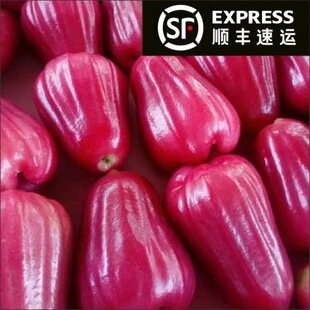 (��S���\)���ں��������ڽ���ɏ�F��Ʒ���r����ˮ��ɏ�F����ش�