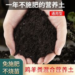 栄養土壌ユニバーサル有機家庭用花と野菜多肉植物緑大根植栽土自己発酵特殊土壌卸売