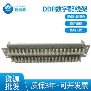 Shenzhen Riai 16-Back Digital Configuration Module 21 System Ddf Wiring Rack Comprehensive Cabinet Network Cabinet Digital Wiring Rack